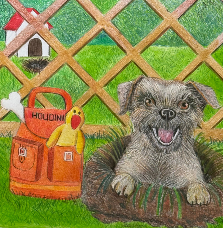 No Borders Terrier